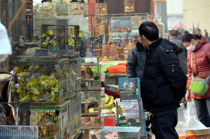 7 Datos Sobre Coronavirus Que Debes Conocer  6. China ha anunciado una prohibición de su comercio de animales salvajes hasta que termine la crisis de la corona