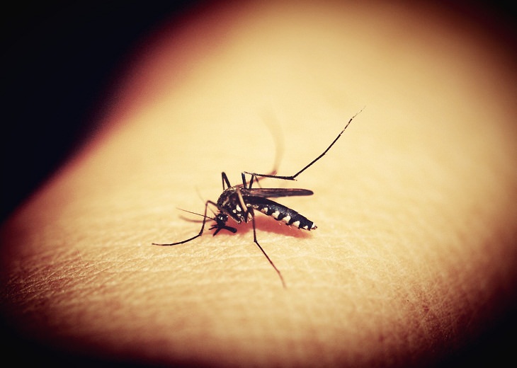 6 epidemias mortales before covid-19 malaria