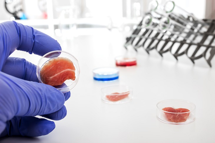 Avances Científicos Sobre La Elaboración De Carne En Laboratorios