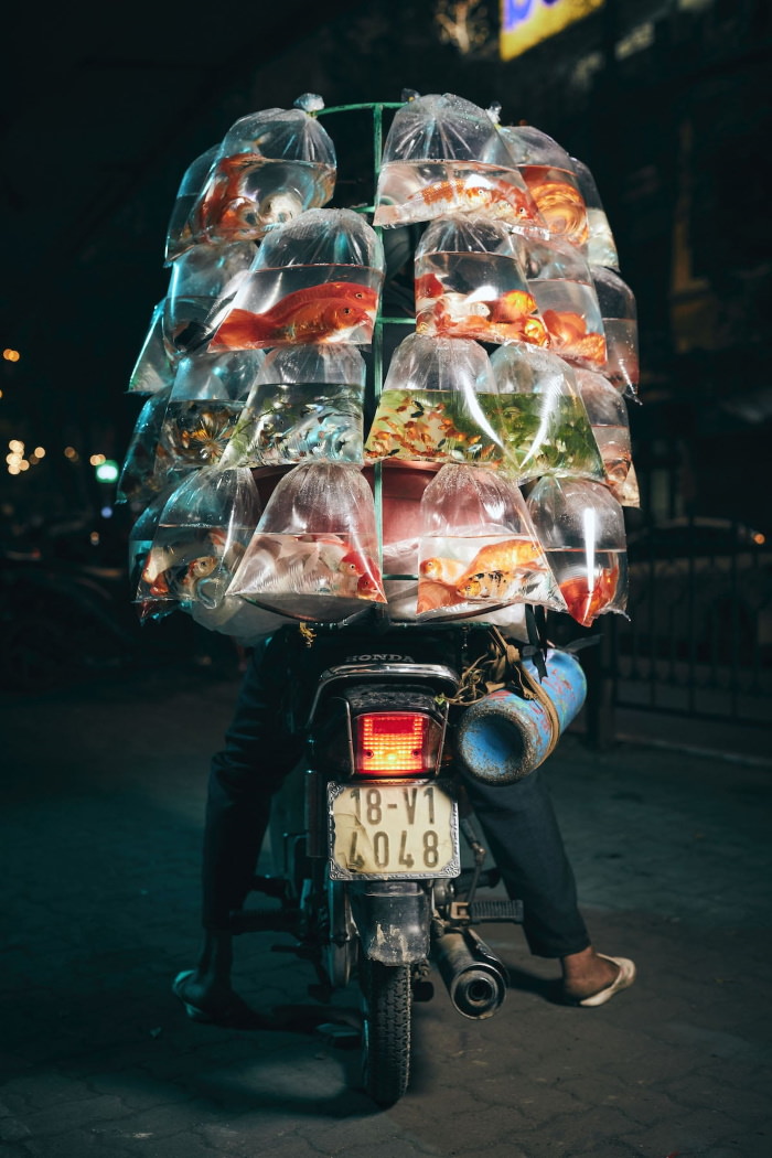 Fotos Finalistas Del Concurso De La Revista Smithsonian un vendedor de peces exhibe su mercancía