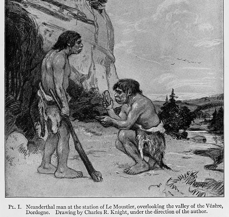 Datos Hombre De Neandertal Eran cazadores superiores