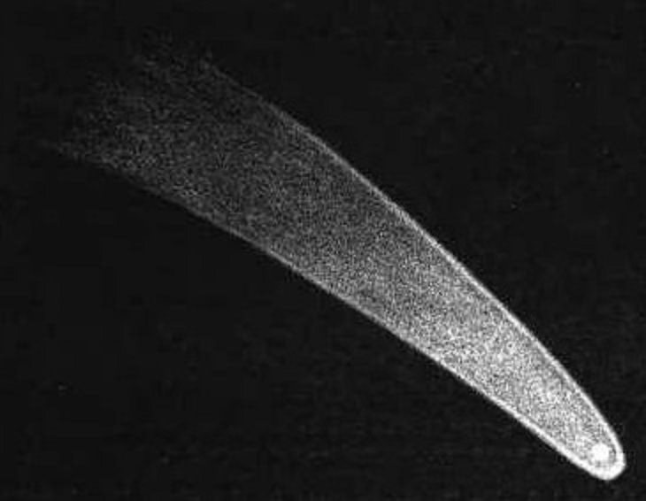4. El Gran Cometa de 1811, que permaneció visible desde la Tierra durante 260 días, oficialmente designado C / 1811 F1