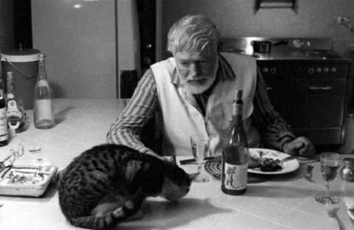 El escritor Ernest Hemingway comparte su cena con un gato, 1940