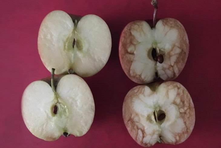 La Parábola de la manzana comparación entre las dos manzanas