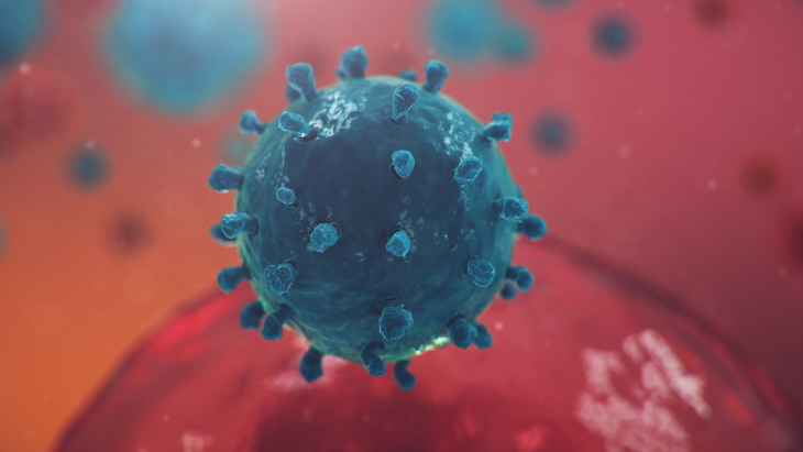¿Cómo podría el coronavirus volverse estacional?