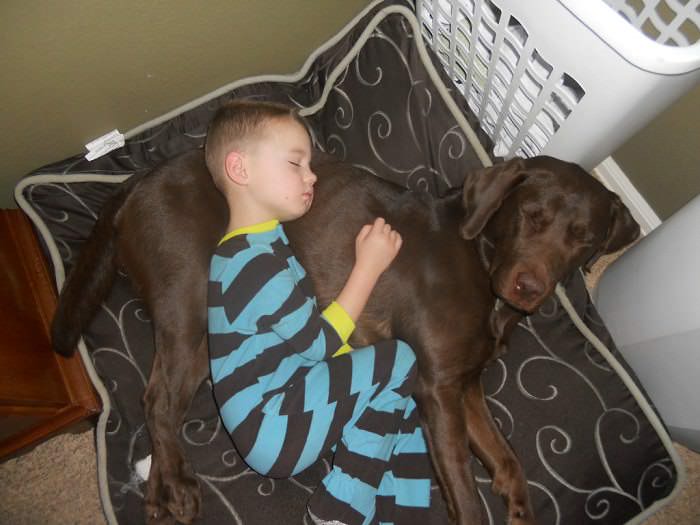 Puede ahorrar mucho espacio cuando su hijo y su perro duermen en la misma cama ...