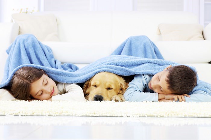 niños y perros durmiendo juntos