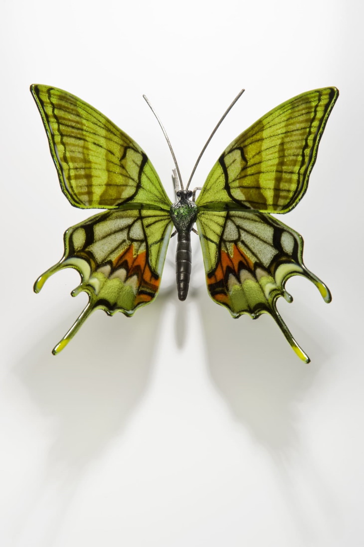 Arte en cristal Mariposa Teinopalpus imperialis