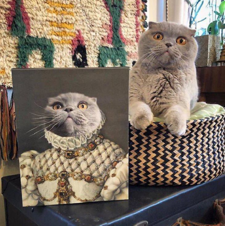 Retratos reales de mascotas gato aristócrata
