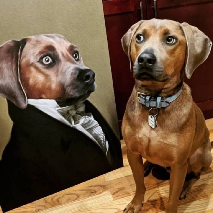Retratos reales de mascotas canino real tomado por sorpresa