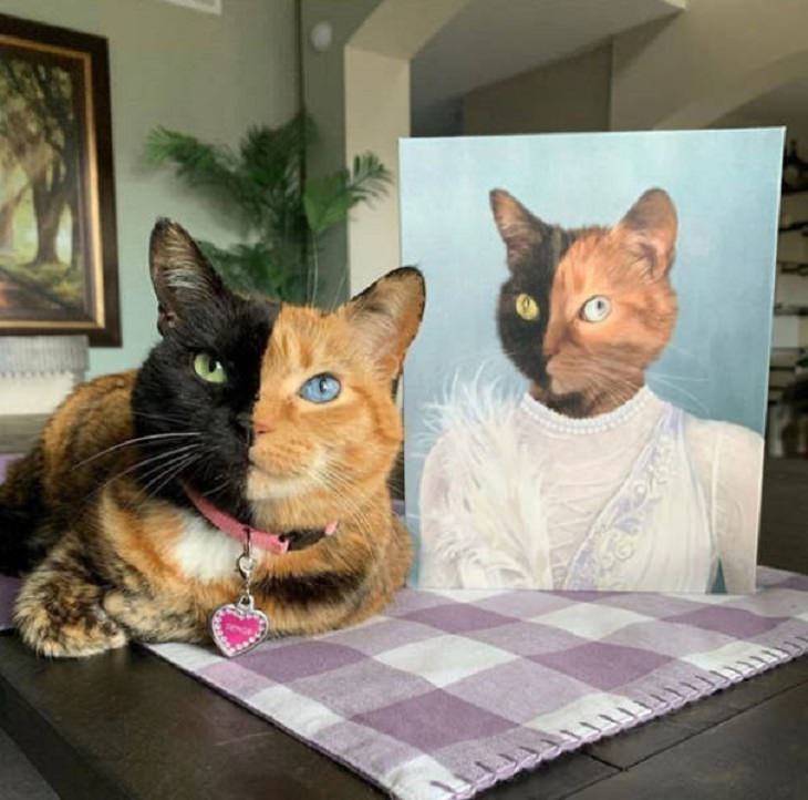 Retratos reales de mascotas gatita como reina