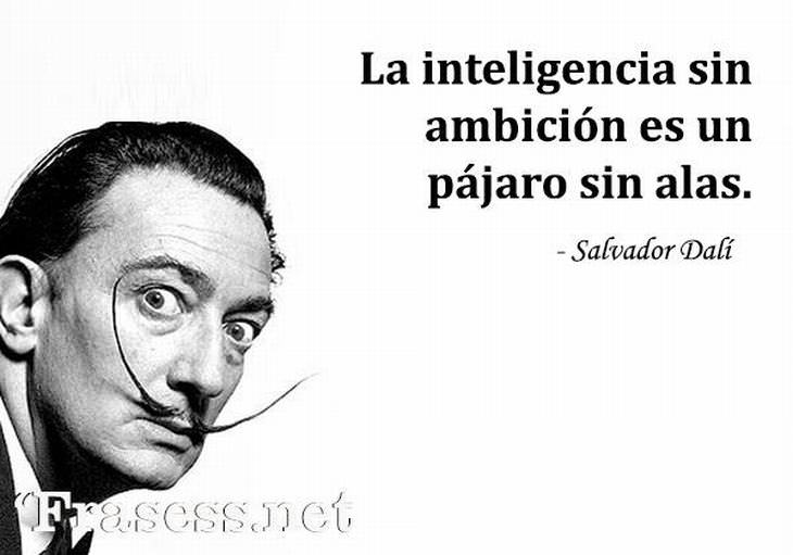 las mejores citas de Salvador Dalí