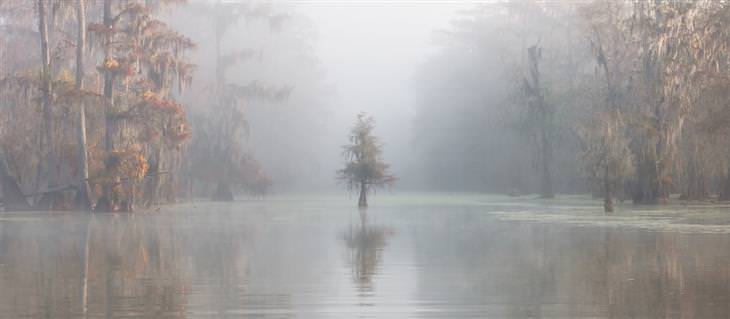 9. "Misty Bayou, Lake Martin" por Roberto Marchegiani - Louisiana, EE.UU.