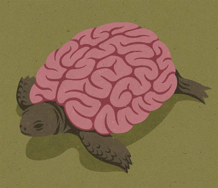 Ilustraciones Satíricas De La Vida Moderna cerebro en tortuga