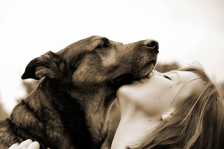 Los perros recuerdan los olores de las personas que aman