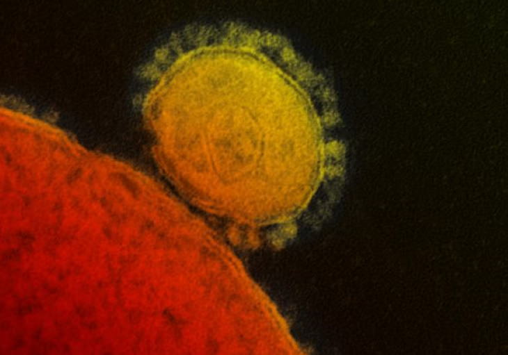 Los virus más peligrosos MERS -CoV