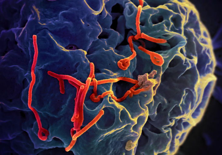 Los virus más peligrosos Ébola