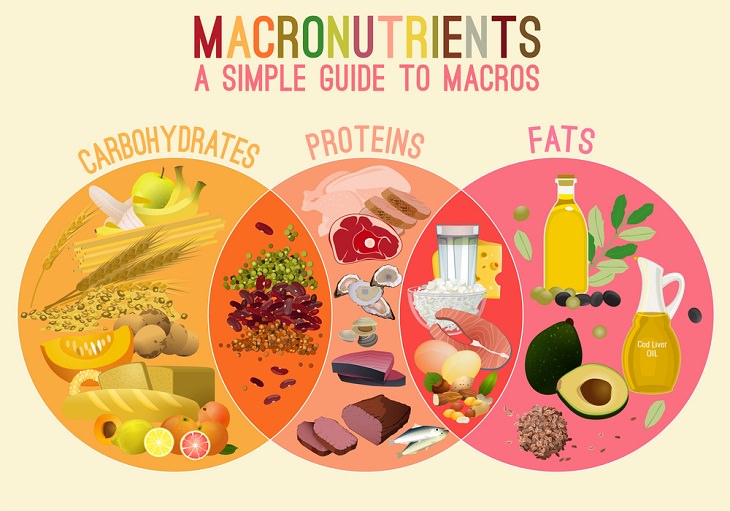 Cómo comer saludable durante la cuarentena Asegúrate de tener los tamaños de porción de macronutrientes adecuados