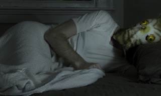 7 posts sobre los problema de sueño
