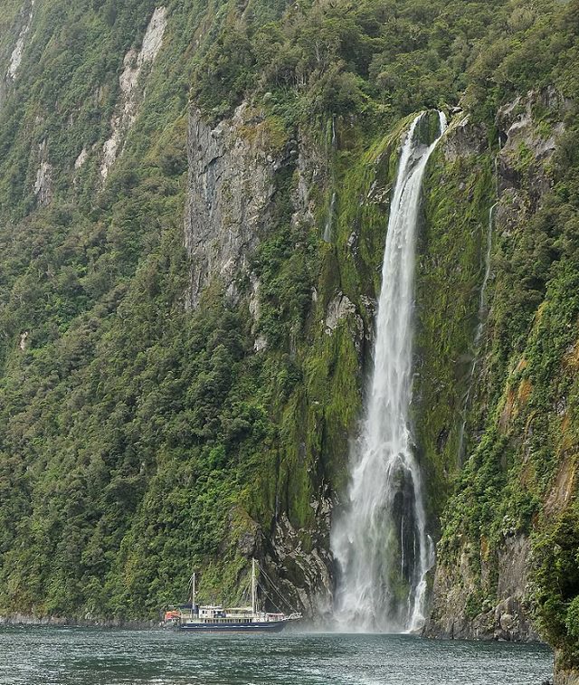   19. Stirling Falls, la segunda gran cascada de Milford Sound