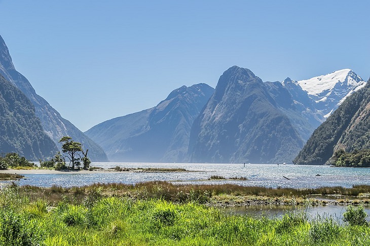11. Los humedales de Milford Sound en el Parque Nacional Fiordland