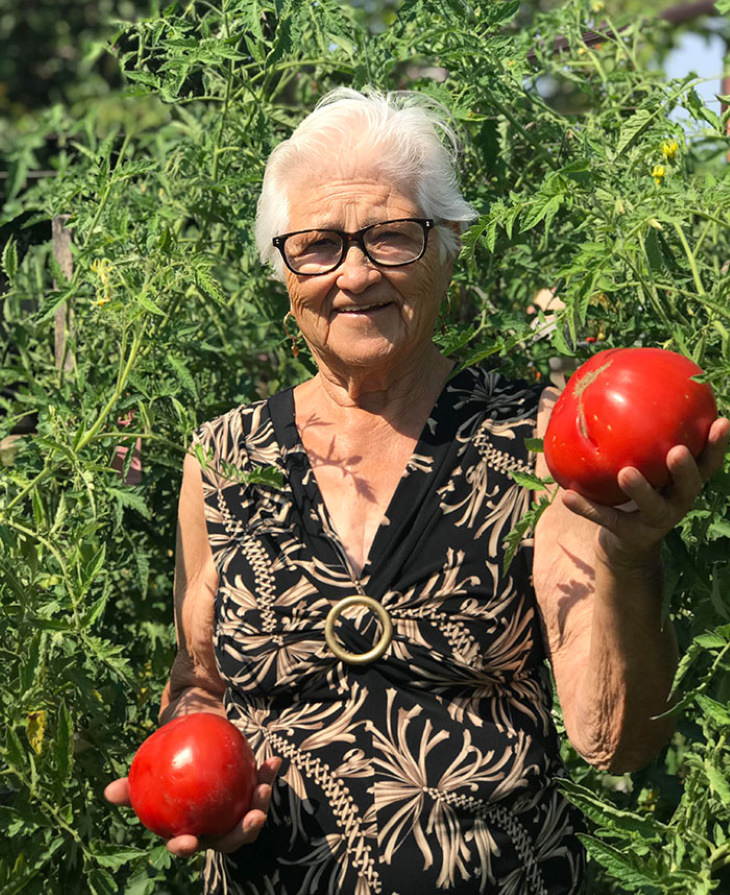 7. Esta abuela italiana está realmente orgullosa de los enormes tomates que ha cultivado.