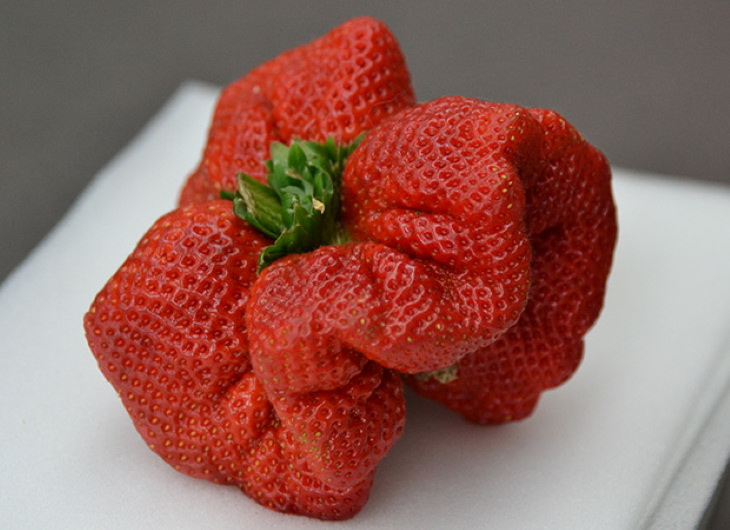 1. Esta monstruosidad de una fresa cultivada en Japón ganó el récord Guinness de la fresa más pesada del mundo