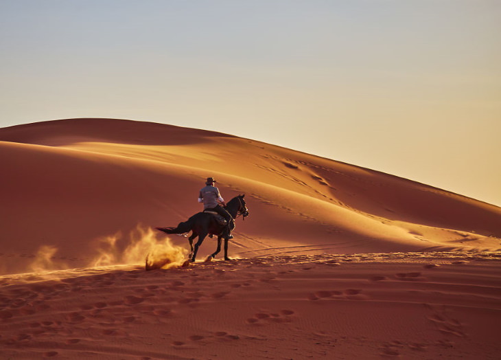 ¿Quién dijo que podrías pasar por el Sahara solo montando un camello?