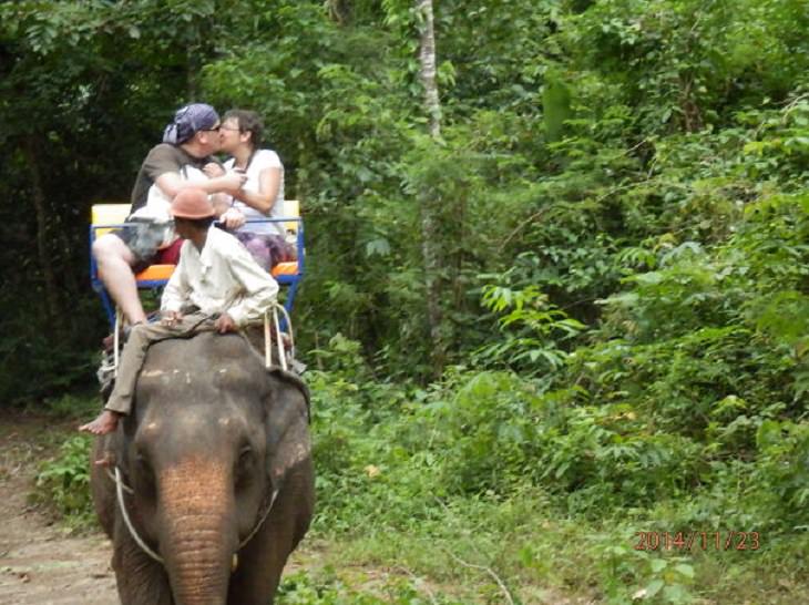 Una hermosa propuesta sellada con un beso en un paseo en elefante en Tailandia