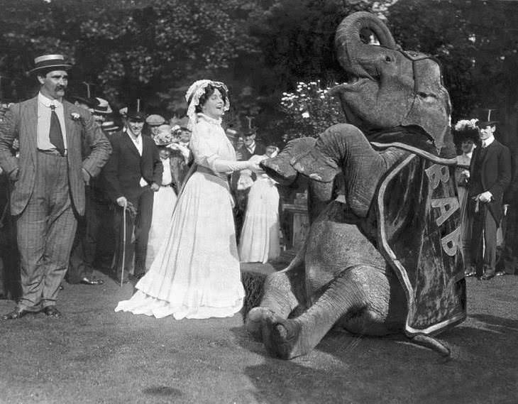 Un elefante se presenta en una fiesta organizada para atletas olímpicos por el británico Lord Michelham en 1914