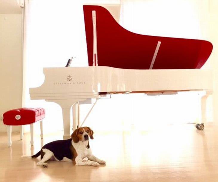 Los Pianos Más Costosos De La Historia Subasta roja (RED) del  Piano Parlor Grand, Steinway & Sons