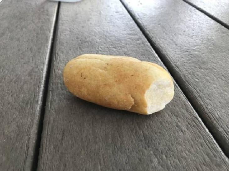 Photographs of odd and bizarre animals, plants, fruits and vegetables that are disguised as other things or have strange appearances, rock that looks like a loaf of bread