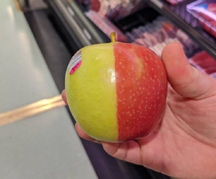 Photographs of odd and bizarre animals, plants, fruits and vegetables that are disguised as other things or have strange appearances, half-green and half-red apple