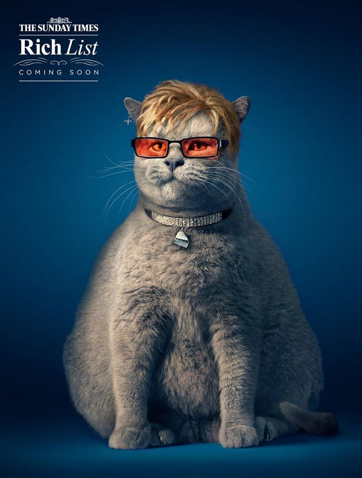 Anuncios divertidos de gatos gato como Elton John 