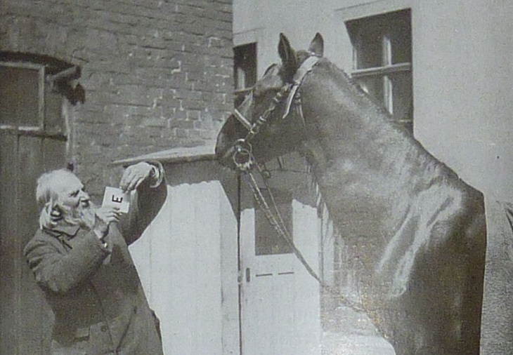 El caballo Hans y Wilhelm von Osten durante una presentación