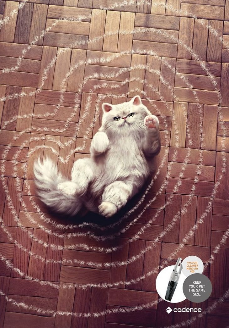 Anuncios divertidos de gatos gato blanco dejando su rastro en el suelo