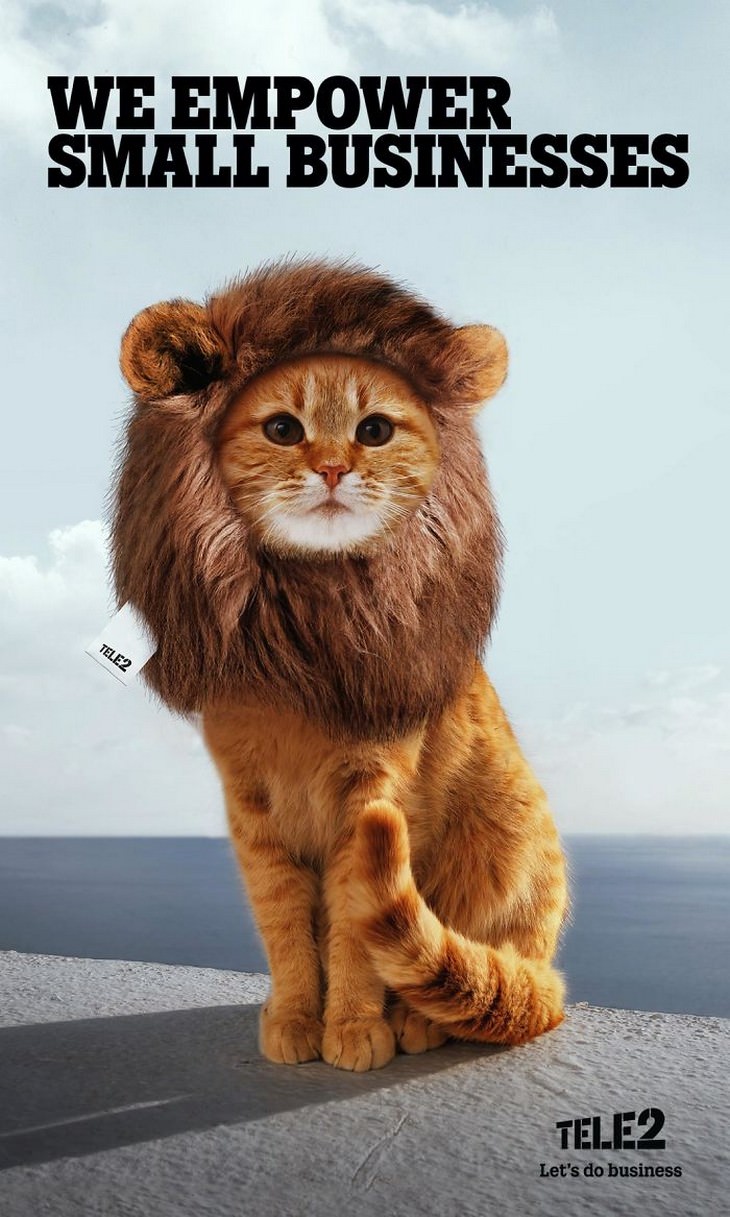Anuncios divertidos de gatos gato en traje de león