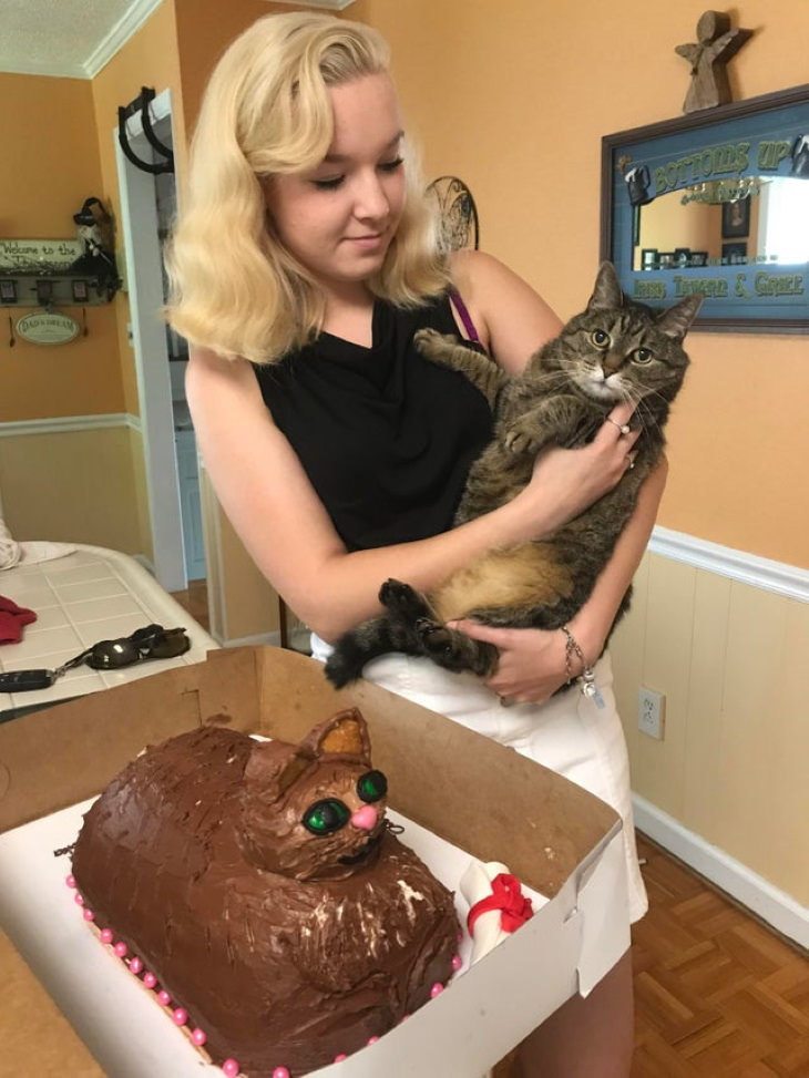Imágenes fallos en la repostería Incluso este gato parece bastante decepcionado con su pastel