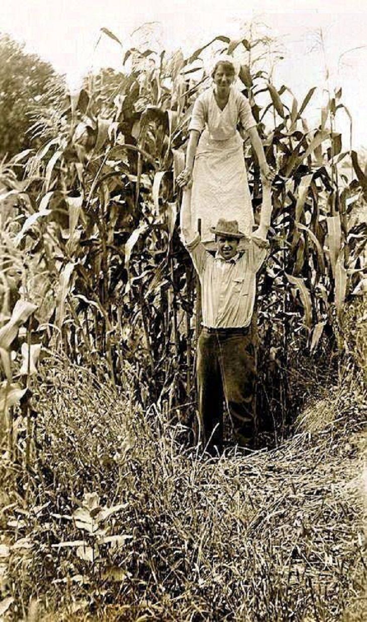 fotos antiguas Una mujer se para sobre los hombros de un agricultor para mostrar la altura de su cosecha de maíz, Minnesota, 1916