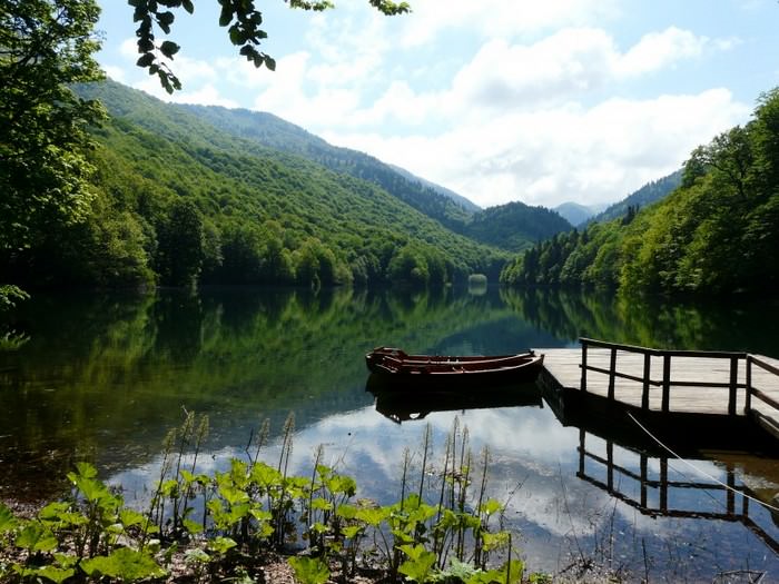 12 Sitos Recomendados Para Visitar En Montenegro Parque Nacional Biogradska Gora, Kolašin