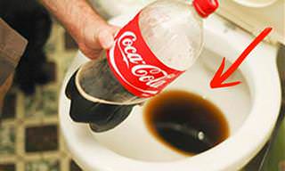 7 posts coca-cola