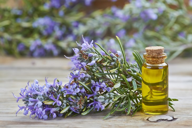 effective vintage beauty tips rosemary oil