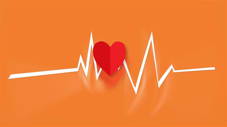 Los 6 Beneficios Del Aceite De Krill Para Tu Salud mejora la salud cardiovascular