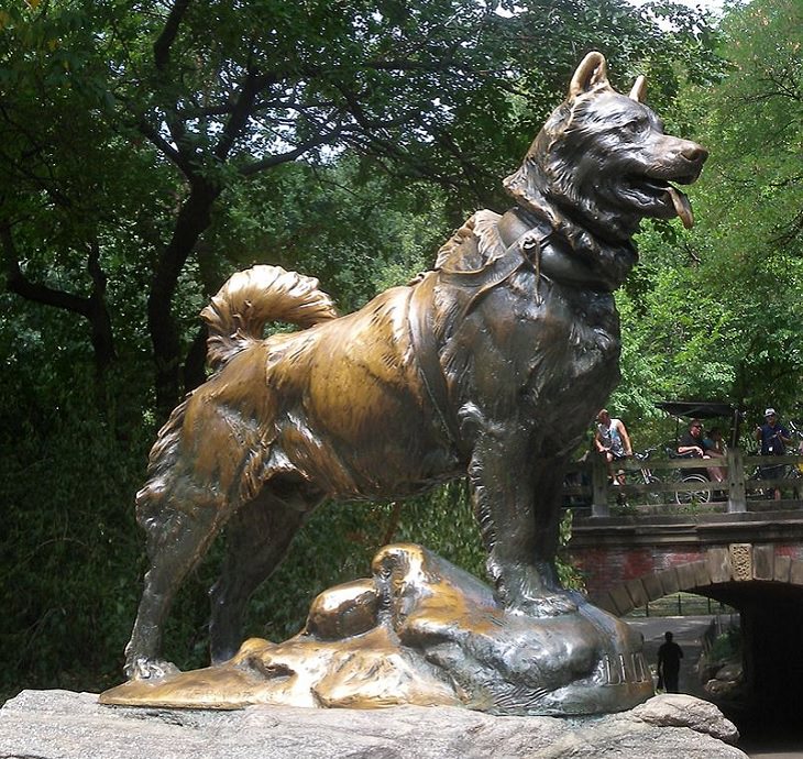 Interior del Central Park en Nueva York Balto, una estatua de bronce en honor al Husky Siberiano que salvó a una ciudad de Alaska de la difteria