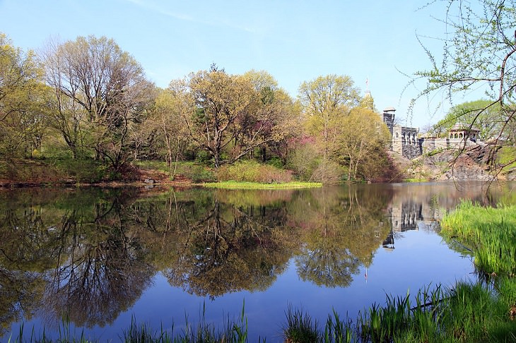 Interior del Central Park en Nueva York El estanque de tortugas, entre el castillo de Belvedere y el césped verde