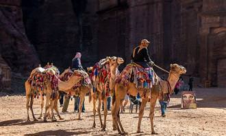 Personas montadas en camellos