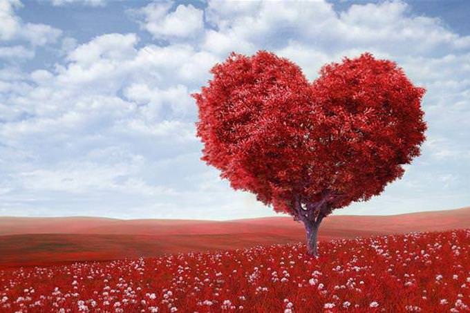 red heart tree