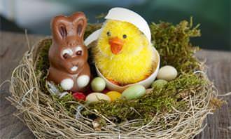chocolate bunny and chick in basket with chocolate eggs