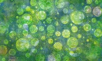 abstract green image