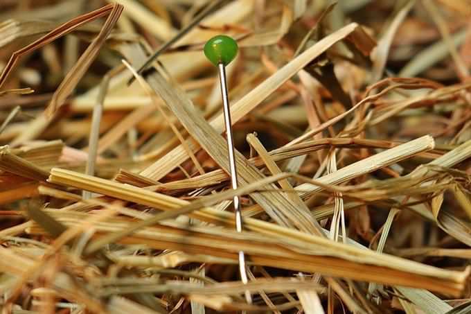 a needle in a hay stack